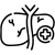 Hepatologia